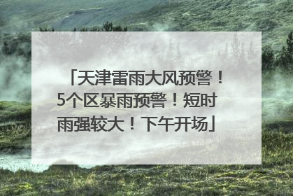 天津雷雨大风预警！5个区暴雨预警！短时雨强较大！下午开场