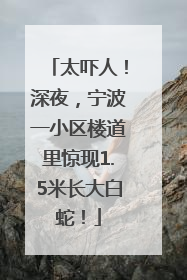 太吓人！深夜，宁波一小区楼道里惊现1.5米长大白蛇！