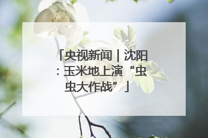 央视新闻｜沈阳：玉米地上演“虫虫大作战”