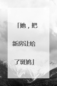 她，把新房让给了斑鸠