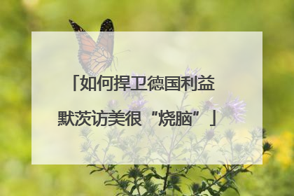 如何捍卫德国利益 默茨访美很“烧脑”