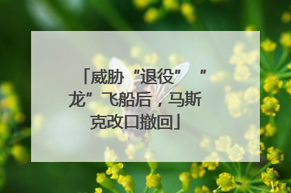 威胁“退役”“龙”飞船后，马斯克改口撤回