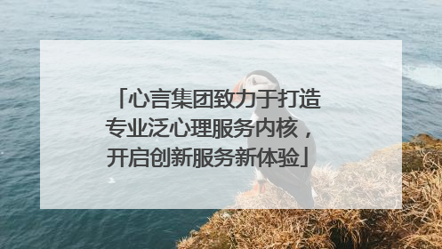 心言集团致力于打造专业泛心理服务内核，开启创新服务新体验