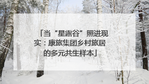当“星露谷”照进现实：康旅集团乡村旅居的多元共生样本