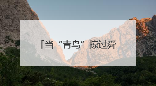 当“青鸟”掠过舜皇山：一场生态与文明的双向奔赴