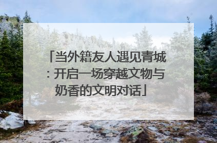 当外籍友人遇见青城：开启一场穿越文物与奶香的文明对话