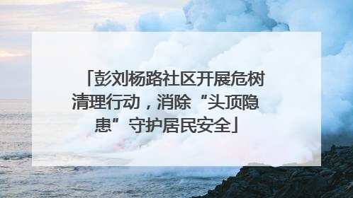彭刘杨路社区开展危树清理行动，消除“头顶隐患”守护居民安全