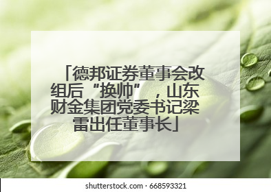 德邦证券董事会改组后“换帅”，山东财金集团党委书记梁雷出任董事长