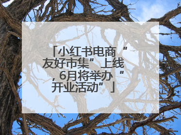小红书电商“友好市集”上线，6月将举办“开业活动”