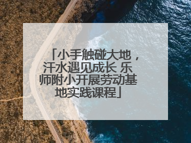 小手触碰大地，汗水遇见成长 乐师附小开展劳动基地实践课程