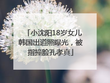 小沈阳18岁女儿韩国出道照曝光，被指撞脸孔孝真