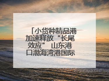 小货种精品港加速释放“长尾效应” 山东港口渤海湾港国际件杂货运业务