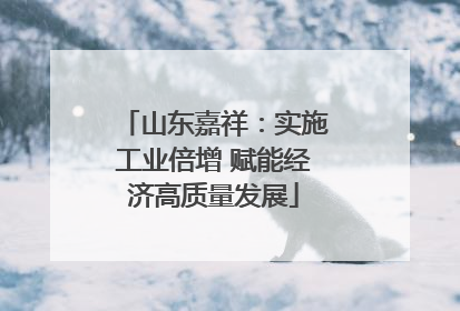 山东嘉祥：实施工业倍增 赋能经济高质量发展