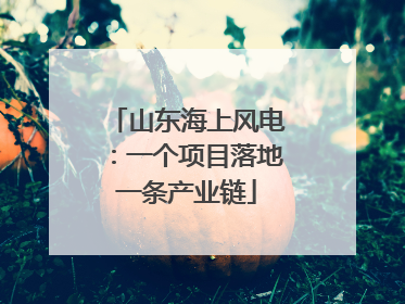 山东海上风电：一个项目落地一条产业链