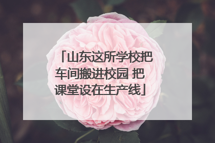 山东这所学校把车间搬进校园 把课堂设在生产线