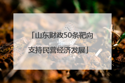 山东财政50条靶向支持民营经济发展