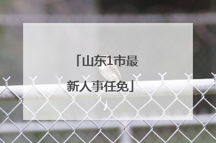 山东1市最新人事任免