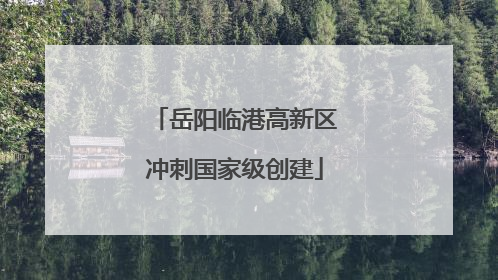 岳阳临港高新区冲刺国家级创建