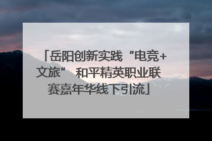 岳阳创新实践“电竞+文旅” 和平精英职业联赛嘉年华线下引流