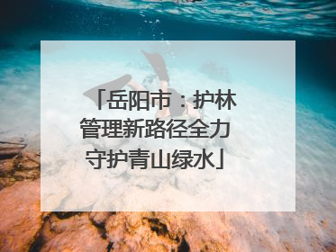 岳阳市：护林管理新路径全力守护青山绿水