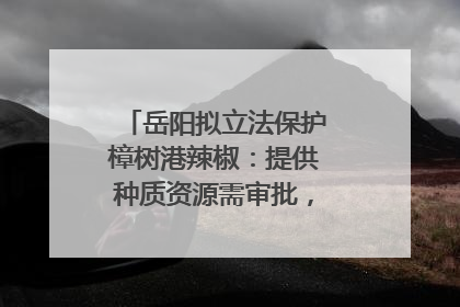 岳阳拟立法保护樟树港辣椒：提供种质资源需审批，违规最高罚5万