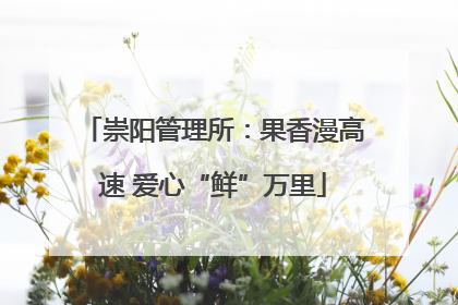 崇阳管理所：果香漫高速 爱心“鲜”万里