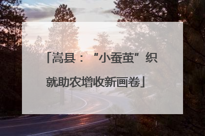 嵩县：“小蚕茧”织就助农增收新画卷