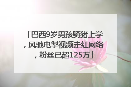 巴西9岁男孩骑猪上学，风驰电掣视频走红网络，粉丝已超125万