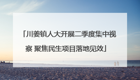 川姜镇人大开展二季度集中视察 聚焦民生项目落地见效
