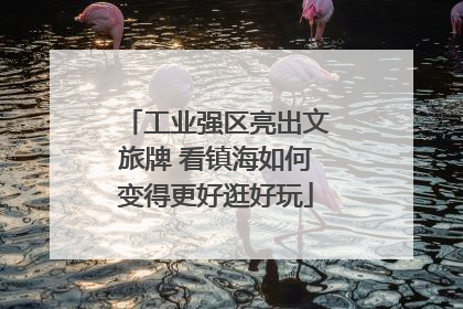 工业强区亮出文旅牌 看镇海如何变得更好逛好玩