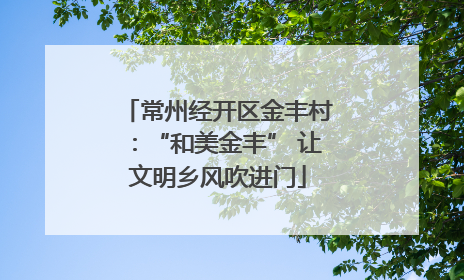 常州经开区金丰村：“和美金丰” 让文明乡风吹进门