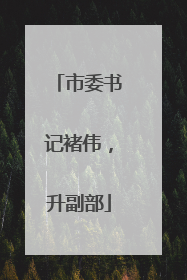 市委书记褚伟，升副部