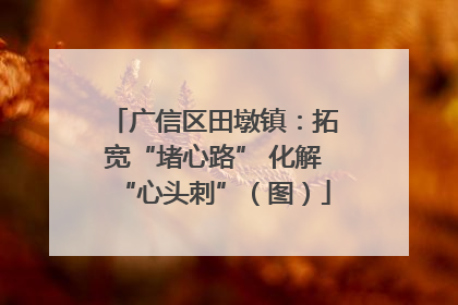 广信区田墩镇：拓宽“堵心路” 化解“心头刺”（图）