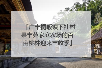 广丰桐畈镇下社村果丰苑家庭农场的百亩桃林迎来丰收季