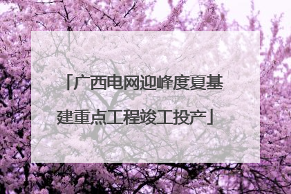 广西电网迎峰度夏基建重点工程竣工投产