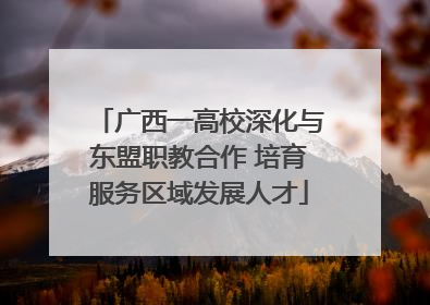广西一高校深化与东盟职教合作 培育服务区域发展人才