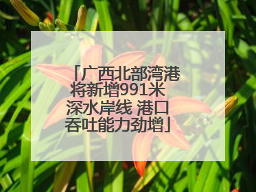 广西北部湾港将新增991米深水岸线 港口吞吐能力劲增
