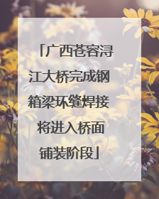 广西苍容浔江大桥完成钢箱梁环缝焊接 将进入桥面铺装阶段