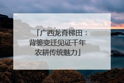 广西龙脊梯田：背篓变迁见证千年农耕传统魅力