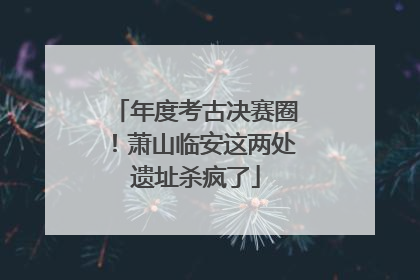年度考古决赛圈！萧山临安这两处遗址杀疯了