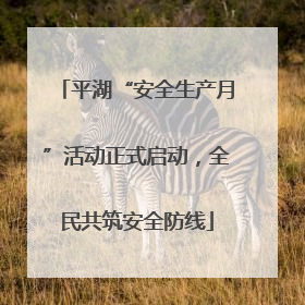 平湖“安全生产月”活动正式启动，全民共筑安全防线