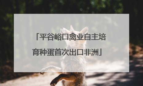平谷峪口禽业自主培育种蛋首次出口非洲