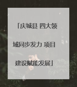 庆城县 四大领域同步发力 项目建设赋能发展