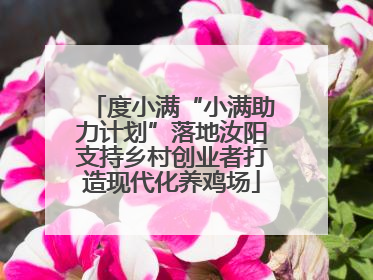 度小满“小满助力计划”落地汝阳支持乡村创业者打造现代化养鸡场