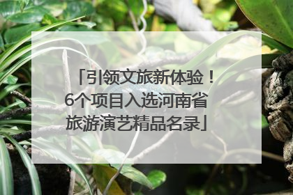 引领文旅新体验！6个项目入选河南省旅游演艺精品名录