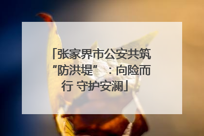 张家界市公安共筑“防洪堤”：向险而行 守护安澜