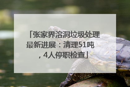 张家界溶洞垃圾处理最新进展：清理51吨，4人停职检查