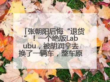 张朝阳后悔“退货”！一个绝版Labubu，被胡润拿去换了一辆车，整车原价值上百万元