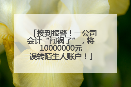 接到报警！一公司会计“闯祸了”，将10000000元误转陌生人账户！