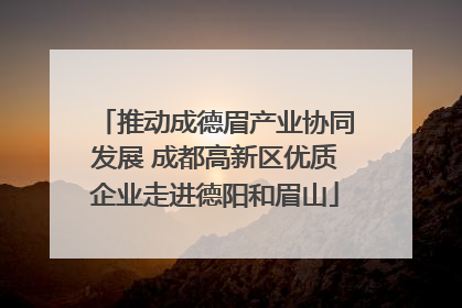 推动成德眉产业协同发展 成都高新区优质企业走进德阳和眉山